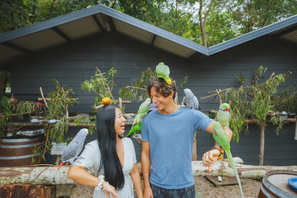 birds galore at Maleny Botanic Gardens.