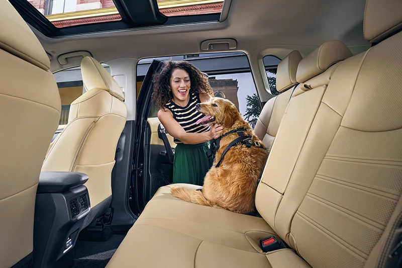 lady with dog in the back of the car