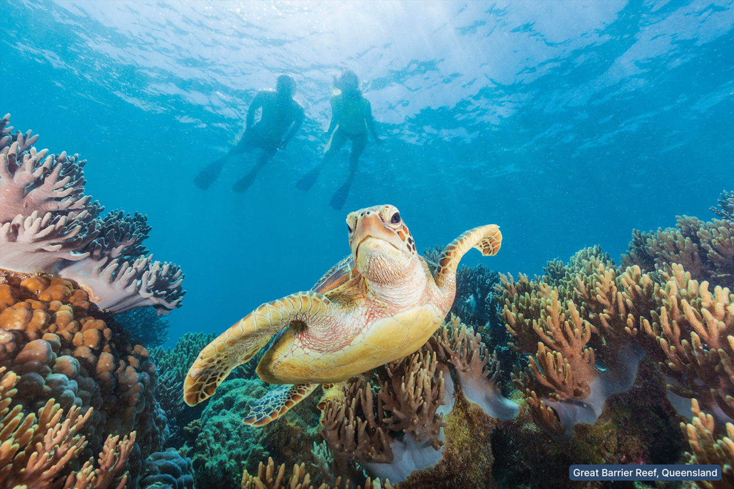 Great Barrier Reef, Queensland