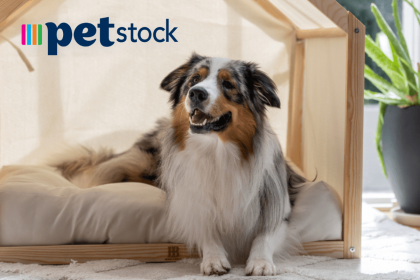 Pet Stock