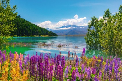 NZ Article Tekapo Lake