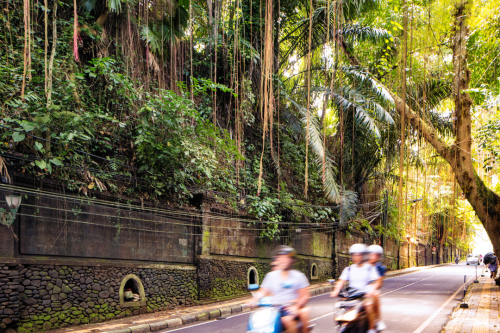 Scooter Exploration in Bali, A Guide for Territorians:
