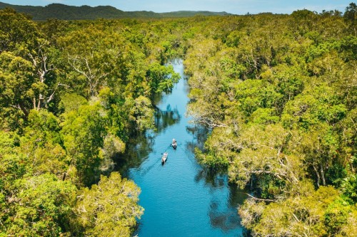 The watery wilderness of the Noosa Everglades.