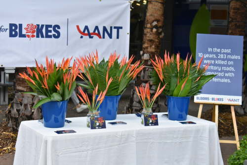 Blooms for Blokes